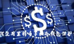 完整指南：如何使用莱特币手机冷钱包保护你的