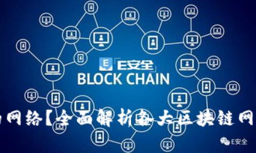 如何选择TP钱包的网络？全面解析各大区块链网络优势与适用场景