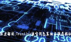 深度解析：TronLink波宝钱包真相与骗局揭秘