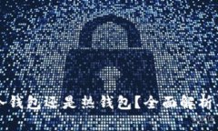 TP钱包是冷钱包还是热钱包？全面解析及使用指南