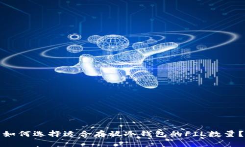 如何选择适合存放冷钱包的FIL数量？