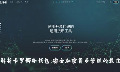 深度解析卡罗娜冷钱包：安全加密货币管理的最佳选择