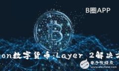 深入解析Polygon数字货币：Layer 2解决方案的未来潜