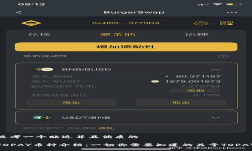思考一个贴近并且优质的

TOPAY币种介绍：一切你需要知道的关于TOPAY