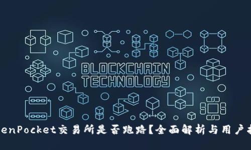 TokenPocket交易所是否跑路？全面解析与用户指南