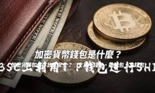 专家揭秘：如何在BSC上利用T P钱包进行SHIB交易的独家秘诀