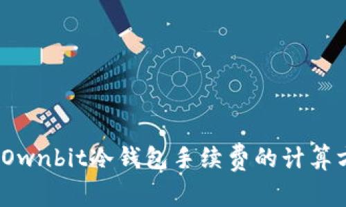 专家独家揭秘：Ownbit冷钱包手续费的计算方法与省钱秘诀