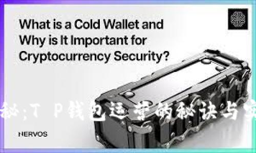 专家独家揭秘：T P钱包运营的秘诀与实战经验分享