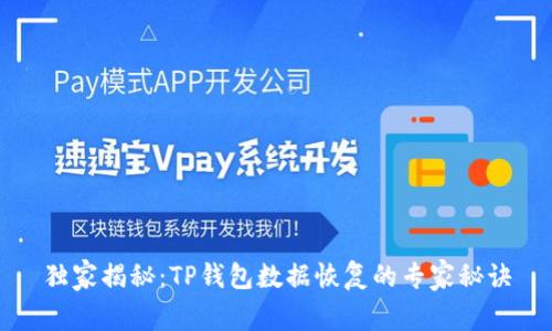 独家揭秘：TP钱包数据恢复的专家秘诀