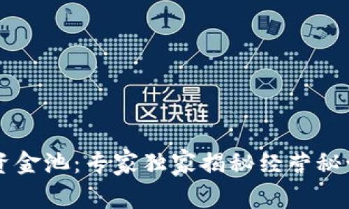 币圈流动性资金池：专家独家揭秘经营秘诀与投资价值