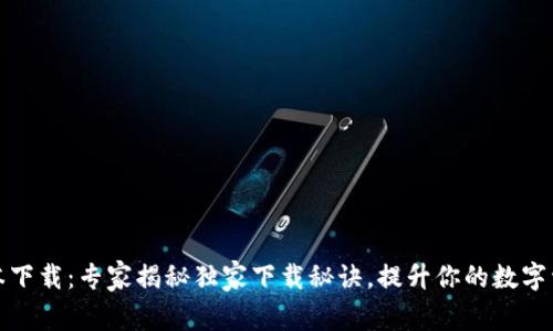 比特派旧版本下载：专家揭秘独家下载秘诀，提升你的数字资产管理体验