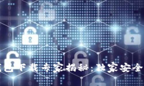 比特币冷钱包下载专家揭秘：独家安全秘诀大公开