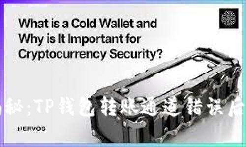 专家独家揭秘：TP钱包转账通道错误后的解决秘诀