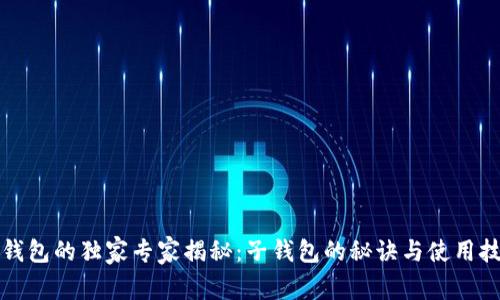 TP钱包的独家专家揭秘：子钱包的秘诀与使用技巧