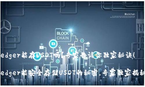 Ledger能存USDT吗？专家告诉你独家秘诀！

Ledger能安全存储USDT的秘密，专家独家揭秘！