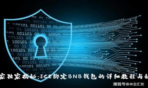 专家独家揭秘：ICE绑定BNB钱包的详细教程与秘诀