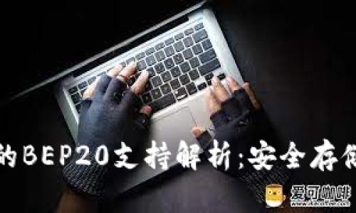 冷钱包的BEP20支持解析：安全存储与管理