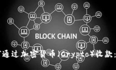 国内如何通过加密货币（Crypto）收款：完整指南