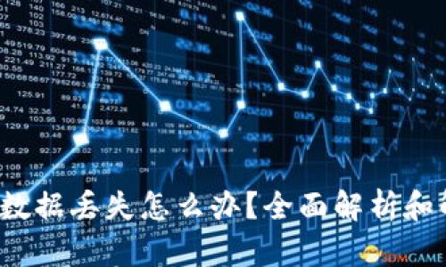  TP钱包数据丢失怎么办？全面解析和解决方案