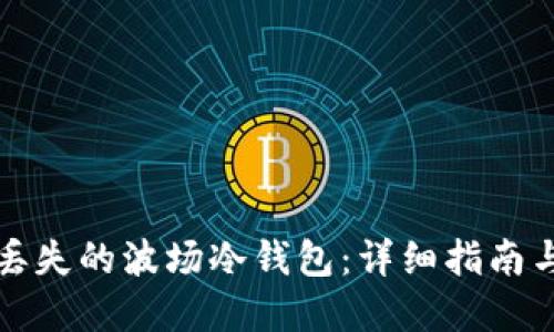 如何找回丢失的波场冷钱包：详细指南与解决方案