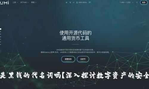 冷钱包是黑钱的代名词吗？深入探讨数字资产的安全与合规