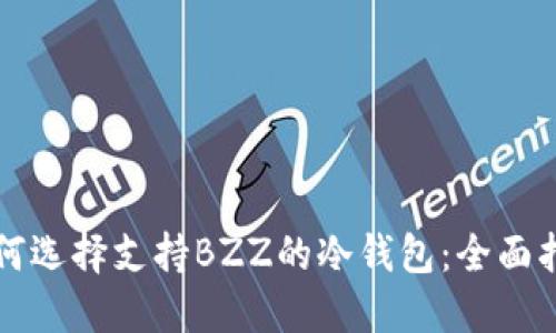 如何选择支持BZZ的冷钱包：全面指南