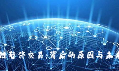 盛源链暂停交易：背后的原因与未来展望