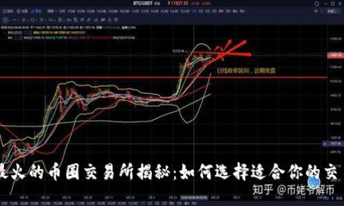 中国最火的币圈交易所揭秘：如何选择适合你的交易平台