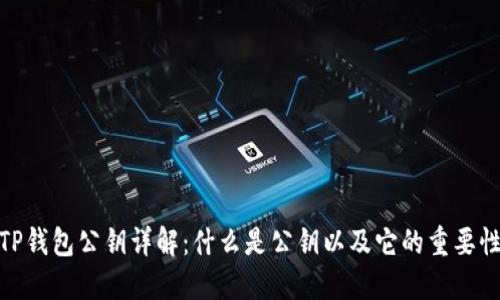 TP钱包公钥详解：什么是公钥以及它的重要性