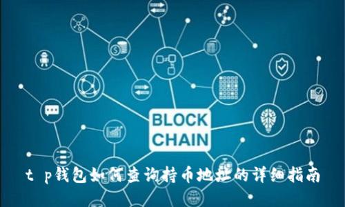 t p钱包如何查询持币地址的详细指南