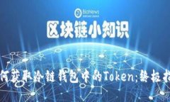 如何获取冷链钱包中的Token：终极指南