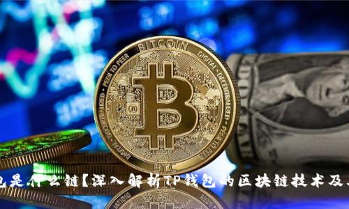 TP钱包是什么链？深入解析TP钱包的区块链技术及其应用