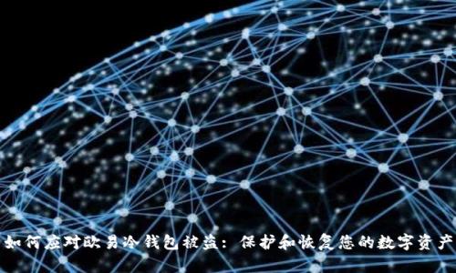 如何应对欧易冷钱包被盗: 保护和恢复您的数字资产
