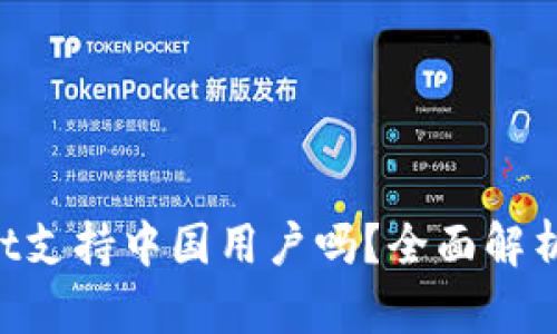 TokenPocket支持中国用户吗？全面解析与使用指南